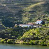 Weingut umrahmt von Weinbergen