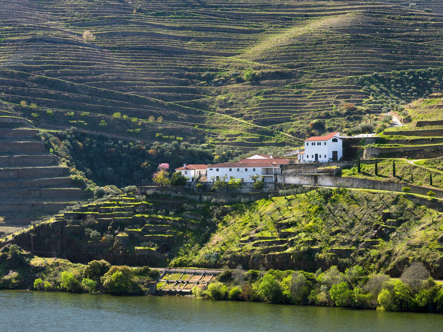 Ins Douro-Tal: Zu Weingütern und Weinproben Weingut umrahmt von Weinbergen