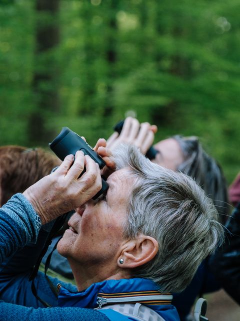 Teilnehmende mit Ferngläsern beobachten Vögel