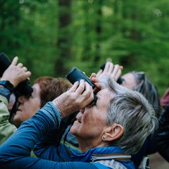 Teilnehmende mit Ferngläsern beobachten Vögel