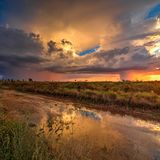 Im Südosten Brasiliens und inmitten des zweitgrößten Ökosystems Südamerikas liegt der Uberaba-Geopark. Sein Slogan lautet "Land der Giganten" – was auf das reiche paläontologische Erbe des Gebiets anspielt. Mehr als 10.000 Fossilien von Dinosauriern, Krokodilen und anderen Tieren wurden hier schon entdeckt. Auch das Fossil eines Titanosauriers (Uberabatitan ribeiroi) wurde hier gefunden; mit einer Länge von 27 Metern das größte jemals in Brasilien entdeckte. 