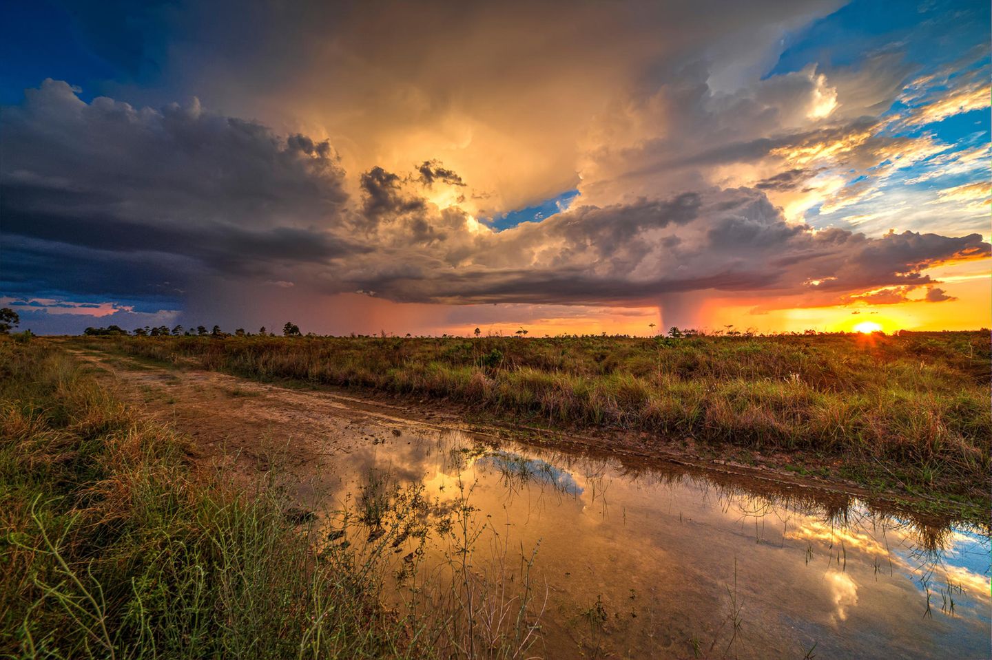 Uberaba UNESCO Global Geopark – Brasilien Im Südosten Brasiliens und inmitten des zweitgrößten Ökosystems Südamerikas liegt der Uberaba-Geopark. Sein Slogan lautet "Land der Giganten" – was auf das reiche paläontologische Erbe des Gebiets anspielt. Mehr als 10.000 Fossilien von Dinosauriern, Krokodilen und anderen Tieren wurden hier schon entdeckt. Auch das Fossil eines Titanosauriers (Uberabatitan ribeiroi) wurde hier gefunden; mit einer Länge von 27 Metern das größte jemals in Brasilien entdeckte.