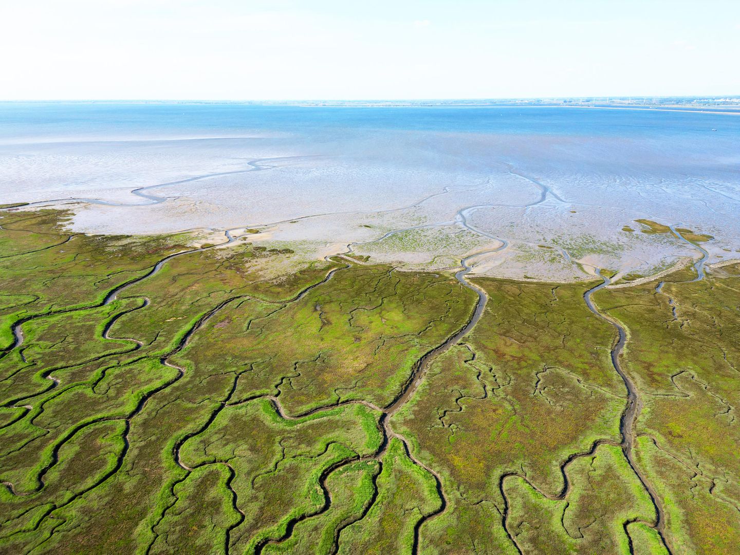 Zwischen dem absinkenden Nordseebecken und dem Brabant-Massiv befindet sich das Delta der Schelde. Klimatische Veränderungen und menschliche Eingriffe in die Landschaft haben diese Natur geprägt. Die Ernennung zum Geopark soll das Bewusstsein für die Anfälligkeit der Region im Klimawandel fördern. 