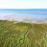 Zwischen dem absinkenden Nordseebecken und dem Brabant-Massiv befindet sich das Delta der Schelde. Klimatische Veränderungen und menschliche Eingriffe in die Landschaft haben diese Natur geprägt. Die Ernennung zum Geopark soll das Bewusstsein für die Anfälligkeit der Region im Klimawandel fördern. 