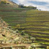 Landschaft mit Wanderweg
