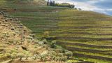 Landschaft mit Wanderweg