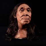 Das Gesicht der Neandertalerin "Shanidar Z"