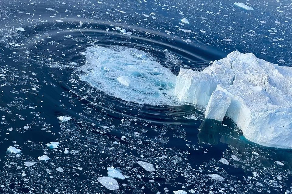 Das Foto zeigt, wie sich beim Sturz von Gletschereis ins Meer an der Wasseroberfläche konzentrische Kreise bilden