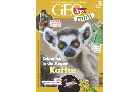 GEOlino Mini Nr 6/2024: Schau mir in die Augen! Kattas