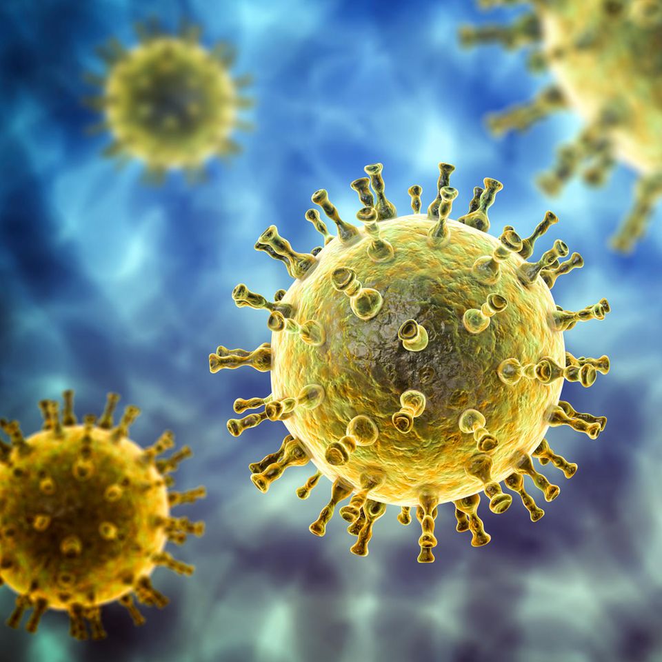 Herpesvirus als Computerillustration