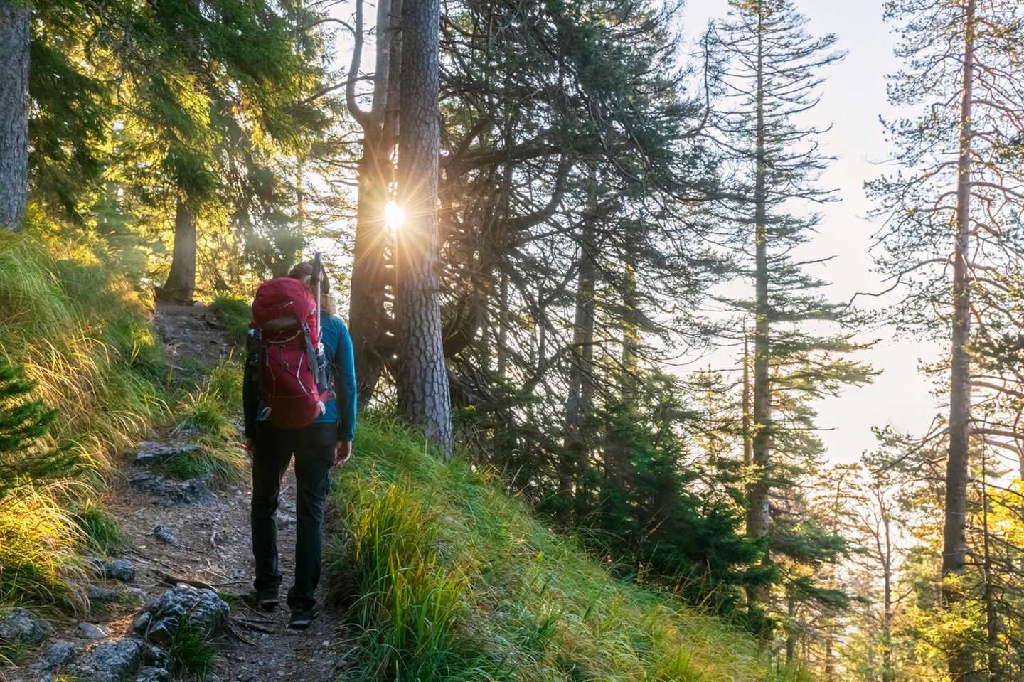 Wanderung auf den Herzogstand: der Hausberg der Region Eine Frau beim Wandern zum Herzogstand