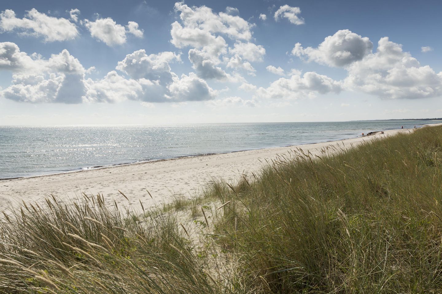 Düne direkt am Wasser bei wolkenbedecktem Himmel