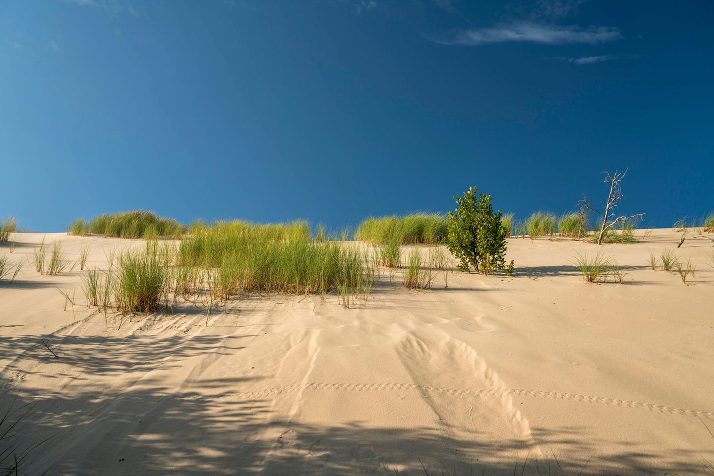 Düne mit blauem Himmel