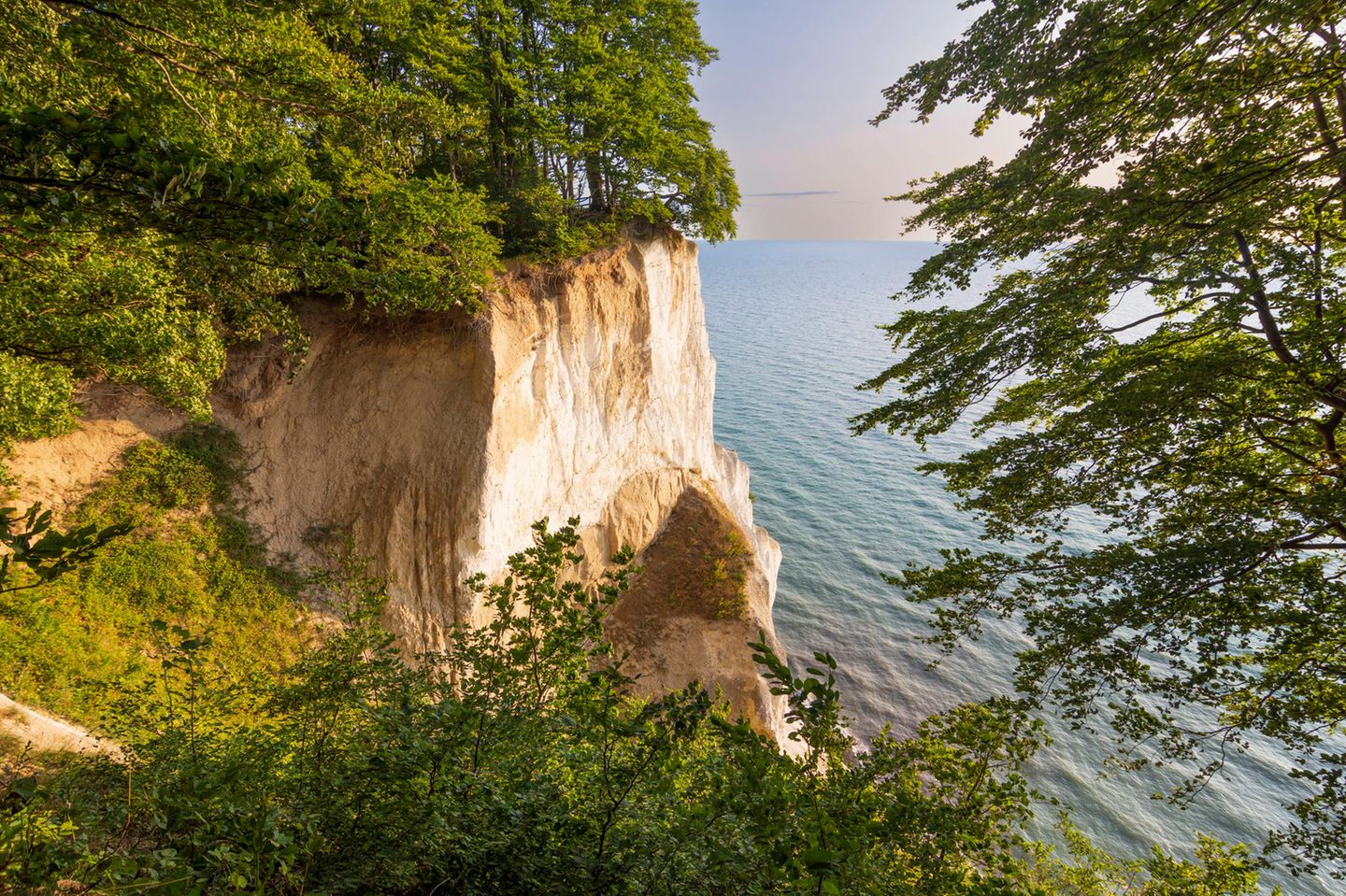 Møn: Wälder und Kreidefelsen Klippe vom Sonnenlicht beschienen