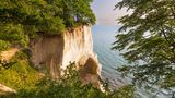 Møn: Wälder und Kreidefelsen Klippe vom Sonnenlicht beschienen