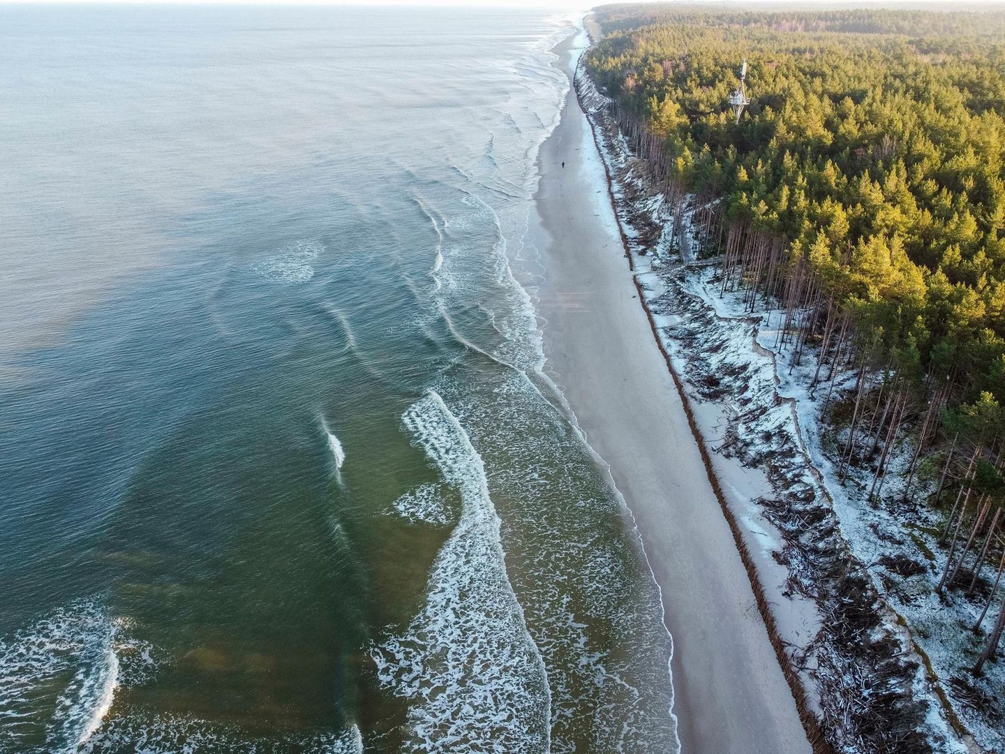 Ein Wald direkt am Strand bei ruhigem Wasser