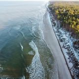 Ein Wald direkt am Strand bei ruhigem Wasser