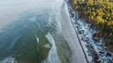 Ein Wald direkt am Strand bei ruhigem Wasser