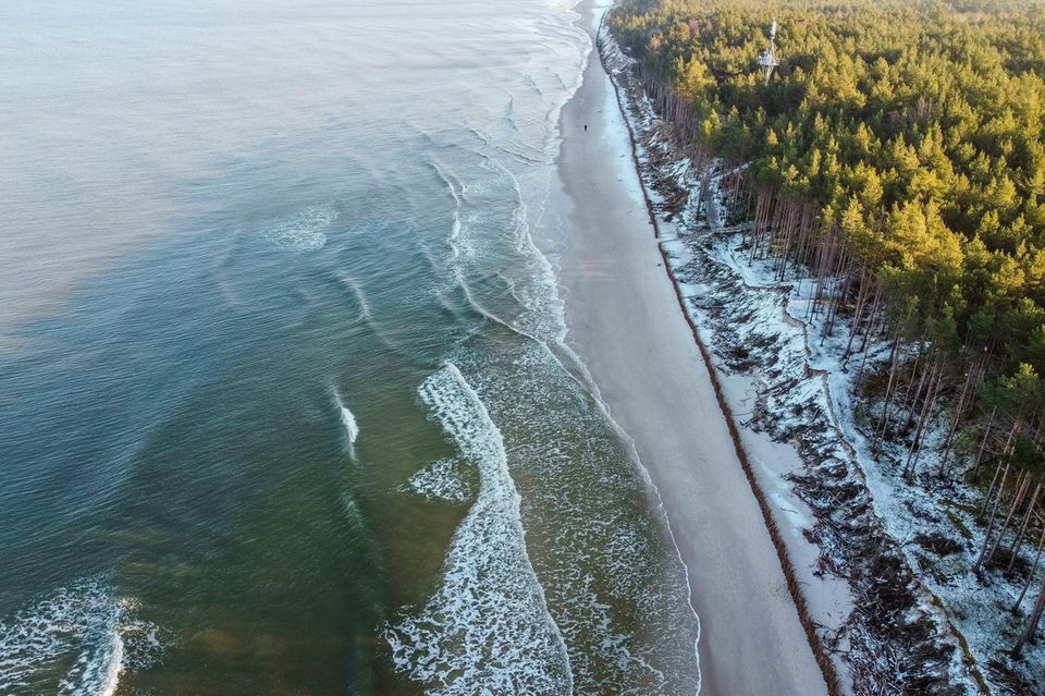 Ein Wald direkt am Strand bei ruhigem Wasser  1.3333