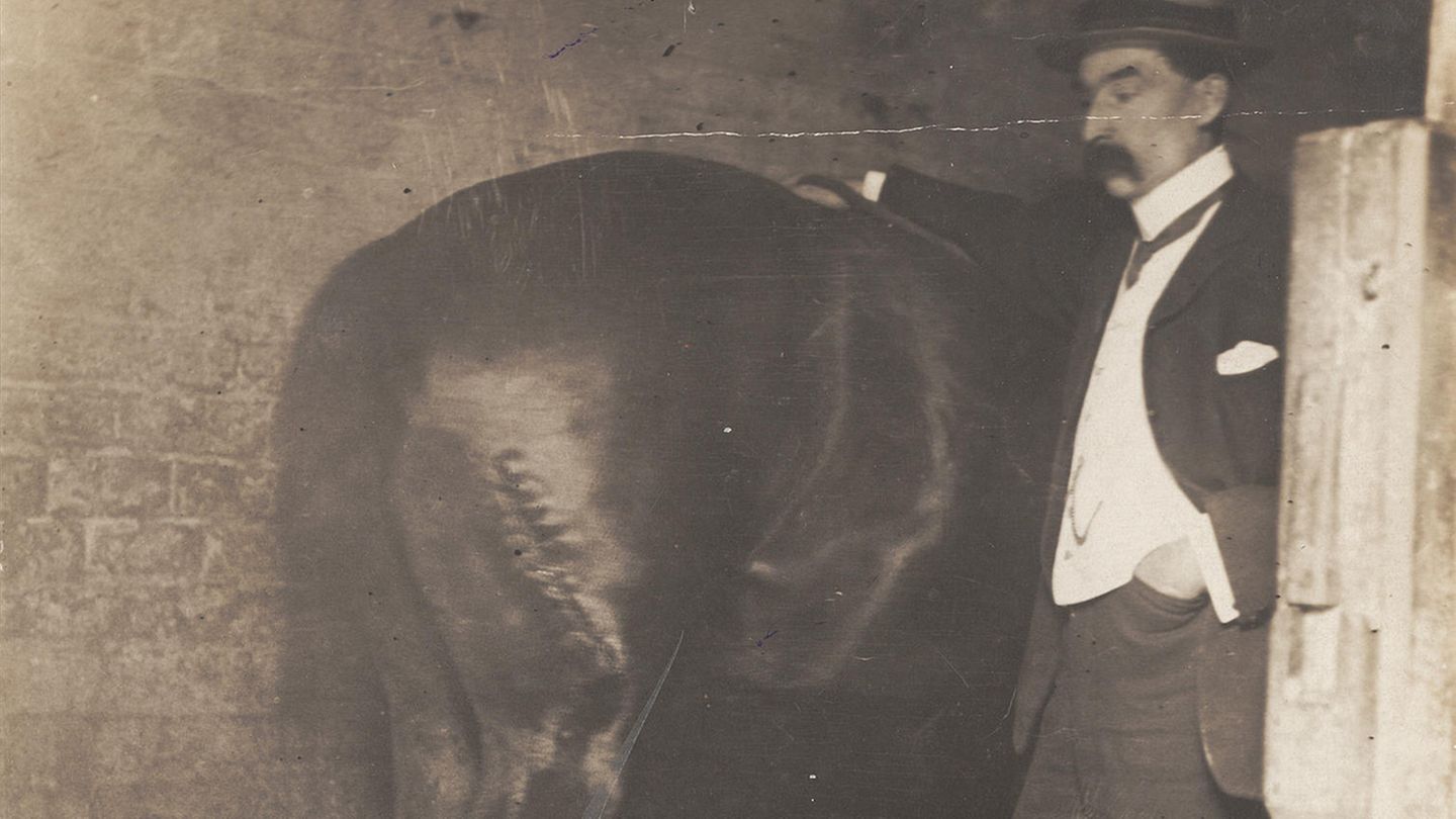 Das Rätsel des Pferderippers: Ein skandalöser Fall erschüttert England Das Rätsel des Pferderippers: Ein skandalöser Fall erschüttert England