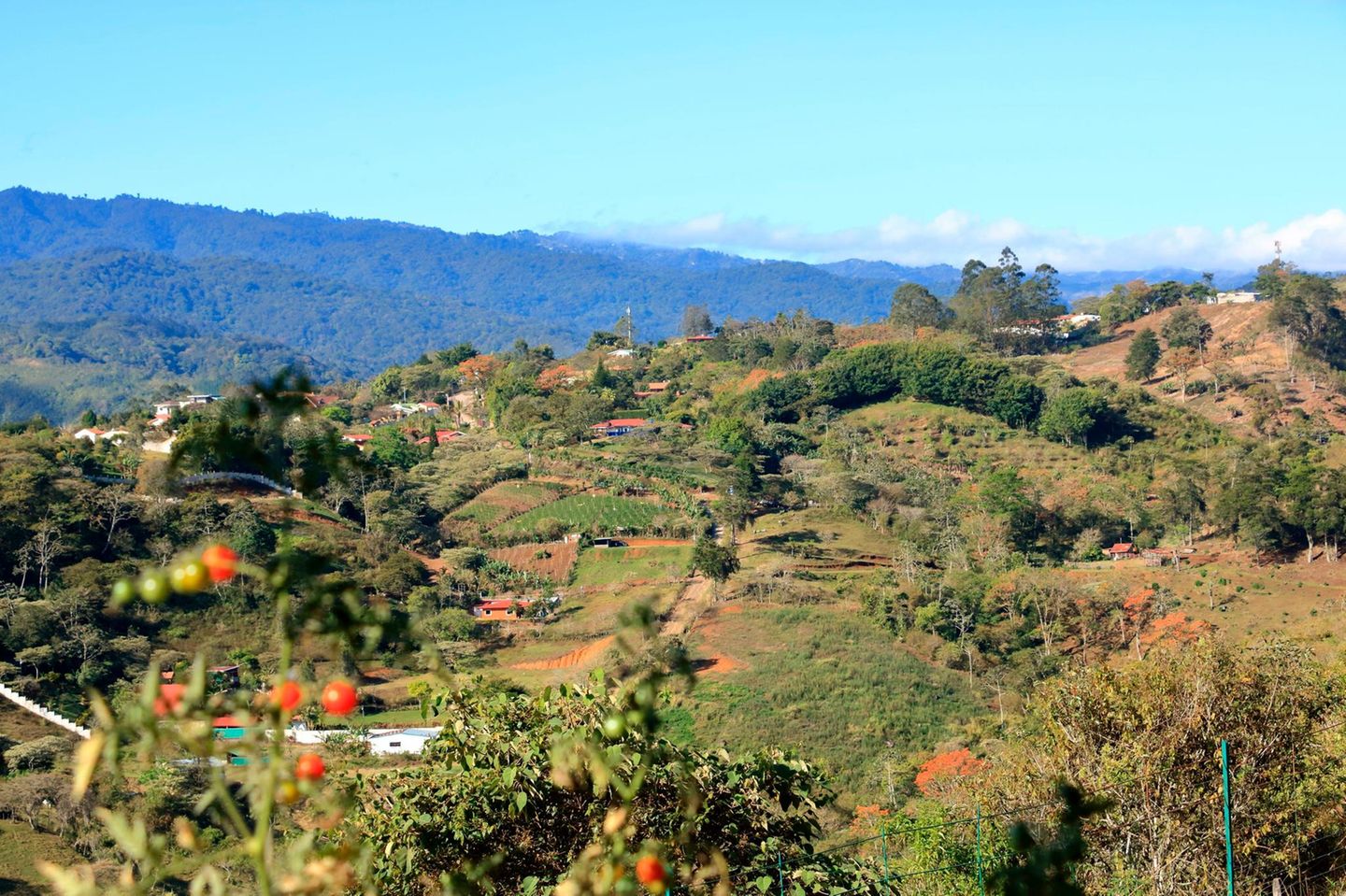 Orosi-Tal: Eine der ältesten Kulturlandschaften Costa Ricas Orosi-Tal auf Costa Rica