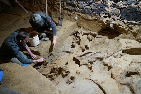 Die gefundenen Knochen datieren Archäologen auf ein Alter von bis zu 40.000 Jahren