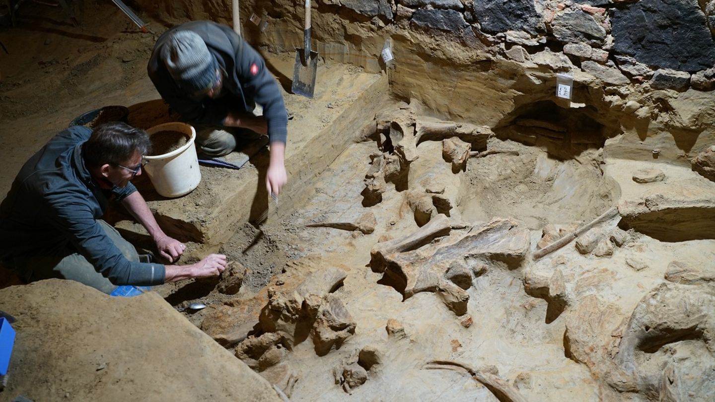 Die gefundenen Knochen datieren Archäologen auf ein Alter von bis zu 40.000 Jahren