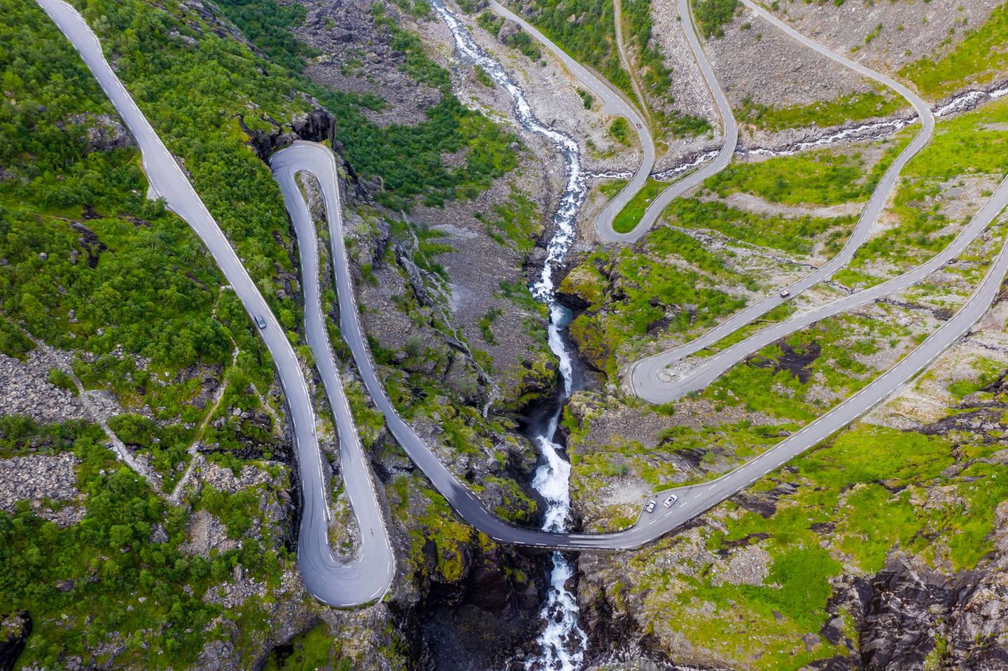 Storfjord: Erdbeeren am Trollsteig Serpentinenstraße in skandinavischer Berglandschaft