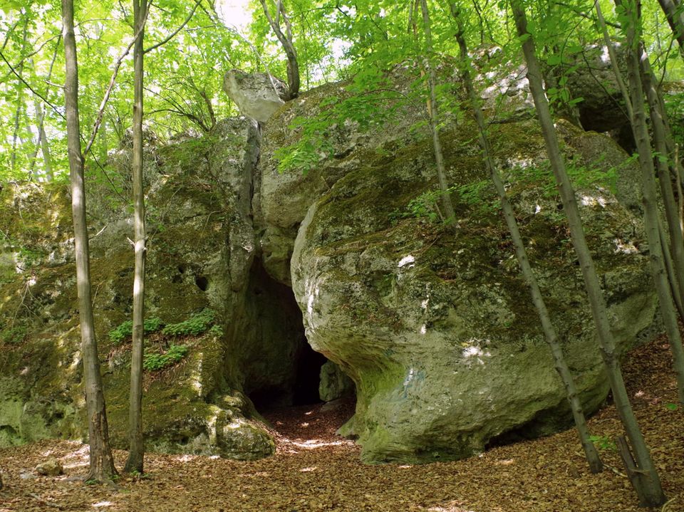 Bärenhöhle Dziadowa Skała Bärenhöhle Dziadowa Skała