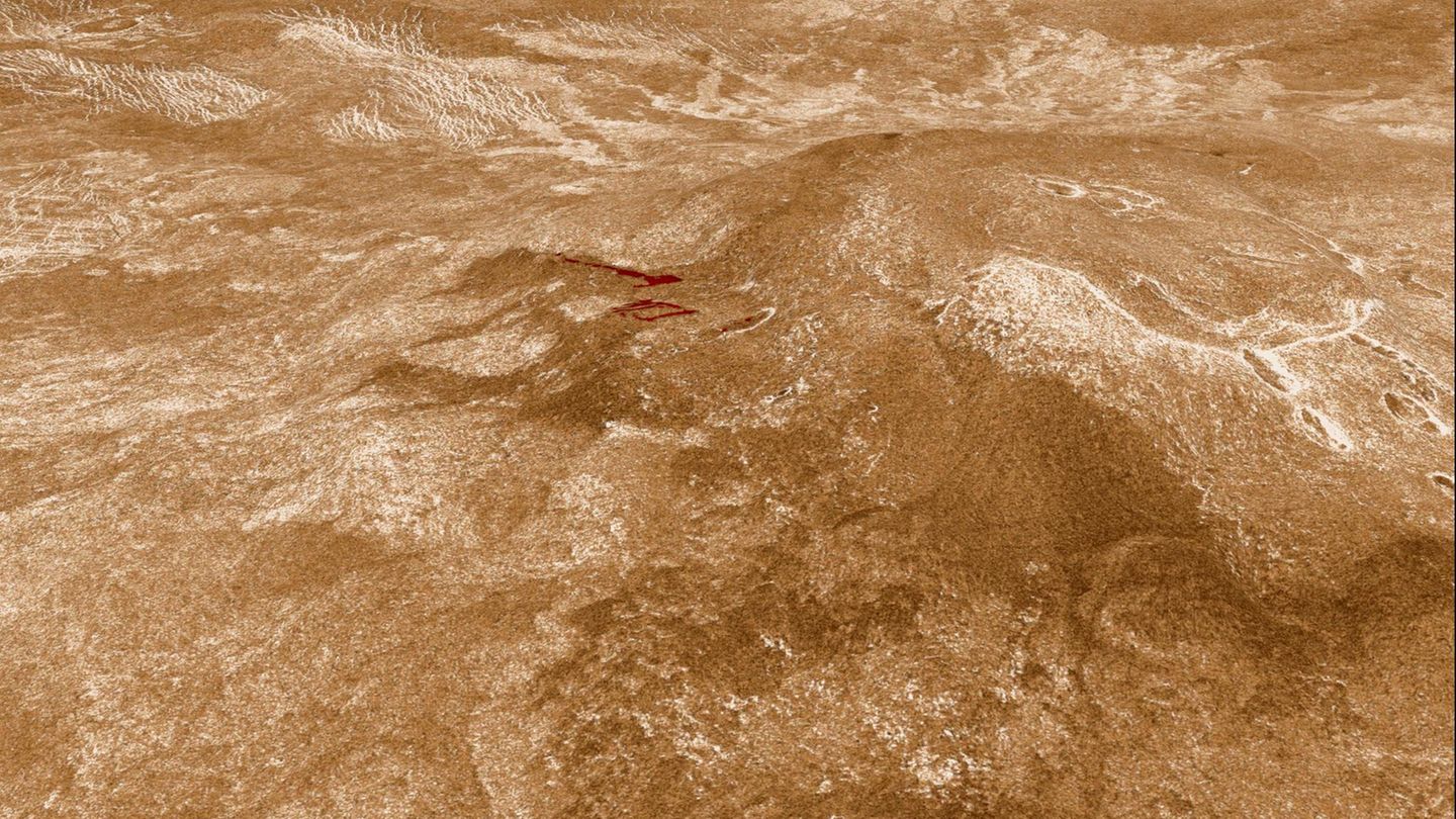 Der Berg Sif Mons auf der Venus