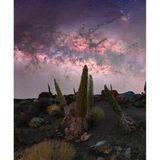 Dass sich auch auf Teneriffa spektakuläre Fotos des Nachthimmels schießen lassen, beweist Maximilian Höfling mit seiner Aufnahme vom Mirador El Tabonal Negro, einem Aussichtspunkt in 2.362 Metern Höhe im Teide-Nationalpark. Die Kanarischen Inseln bieten ideale Bedingungen für die Astrofotografie, tiefhängende Wolken schirmen die Lichter der Städte ab, was die Lichtverschmutzung minimiert. So gelang dem österreichischen Fotografen in den Bergen dieses großartige Foto der Milchstraße.