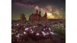 Das Motiv könnte auch einem Fantasyroman entsprungen sein: Rosafarbene Wildblumen blühen vor der Kulisse der Felsformation "Three Sisters", darüber leuchtet die Milchstraße am Nachthimmel. Der Landschafts- und Astrofotograf Marcin Zajac fotografierte das Ensemble an einem der dunkelsten Orte der USA, im Goblin Valley State Park im US-Bundesstaat Utah.