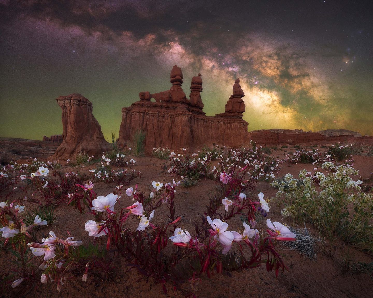 "Desert Bloom" von Marcin Zajac Das Motiv könnte auch einem Fantasyroman entsprungen sein: Rosafarbene Wildblumen blühen vor der Kulisse der Felsformation "Three Sisters", darüber leuchtet die Milchstraße am Nachthimmel. Der Landschafts- und Astrofotograf Marcin Zajac fotografierte das Ensemble an einem der dunkelsten Orte der USA, im Goblin Valley State Park im US-Bundesstaat Utah.