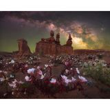 Das Motiv könnte auch einem Fantasyroman entsprungen sein: Rosafarbene Wildblumen blühen vor der Kulisse der Felsformation "Three Sisters", darüber leuchtet die Milchstraße am Nachthimmel. Der Landschafts- und Astrofotograf Marcin Zajac fotografierte das Ensemble an einem der dunkelsten Orte der USA, im Goblin Valley State Park im US-Bundesstaat Utah.