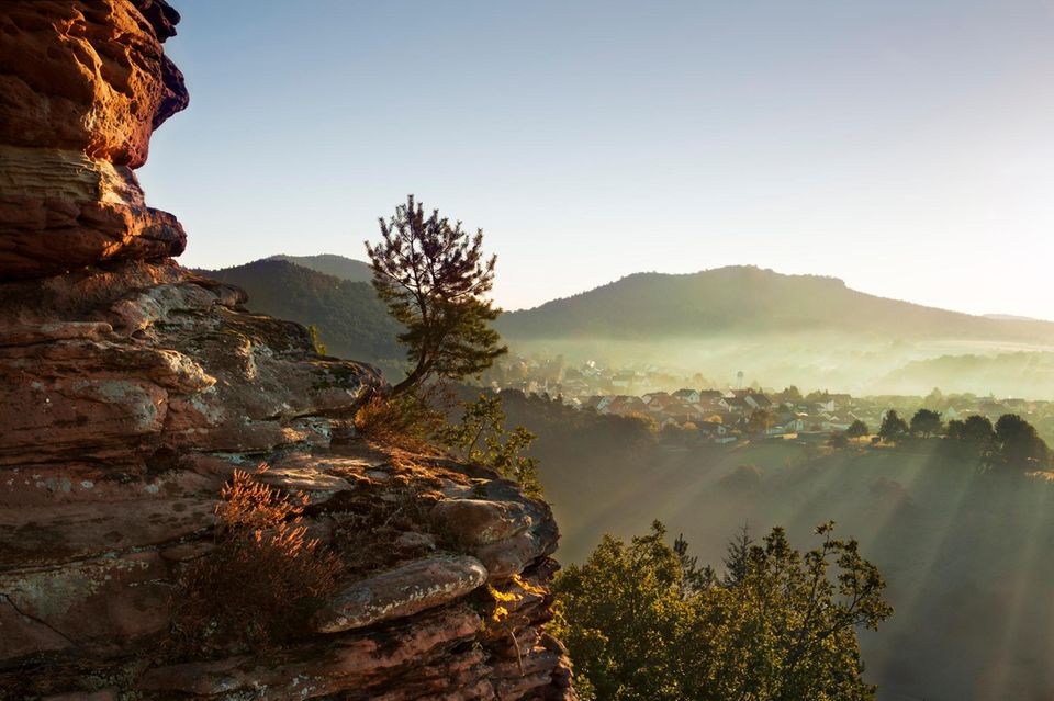 Im Vordergrund steht ein Baum auf einem Felsen. Im Hintergrund sieht man Berge und ein Dorf im sonnigen Morgennebel 1.5004