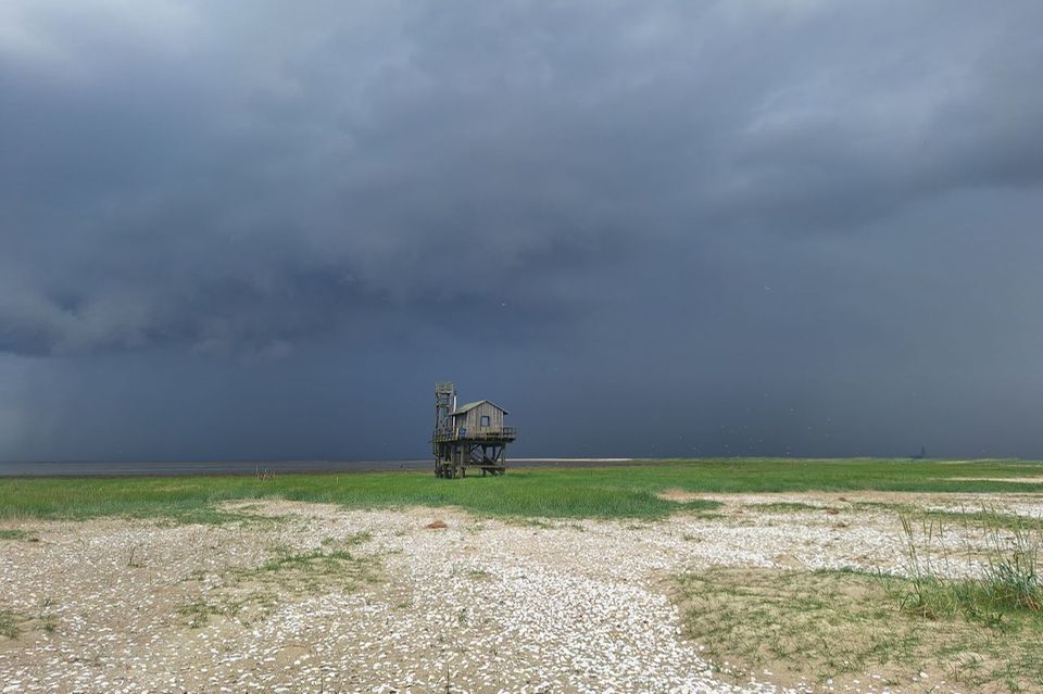 Jakob Wildrauts Hütte auf der Nordseeinsel Trischen steht sturmflutsicher auf Stelzen. Hier lebt der Vogelwart für sieben Monate