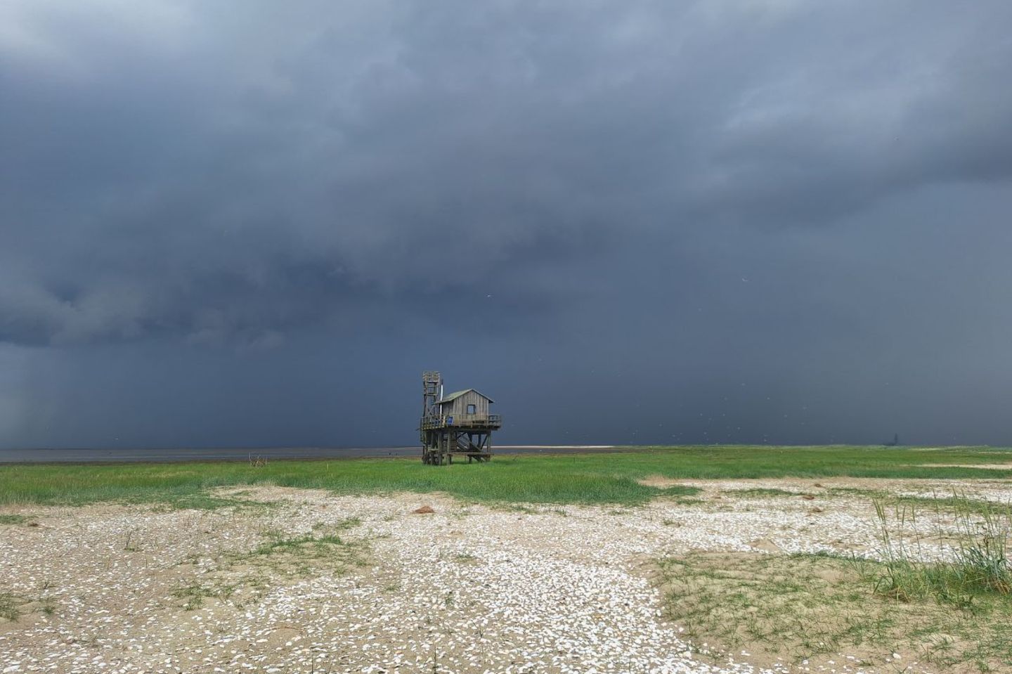 Jakob Wildrauts Hütte auf der Nordseeinsel Trischen steht sturmflutsicher auf Stelzen. Hier lebt der Vogelwart für sieben Monate