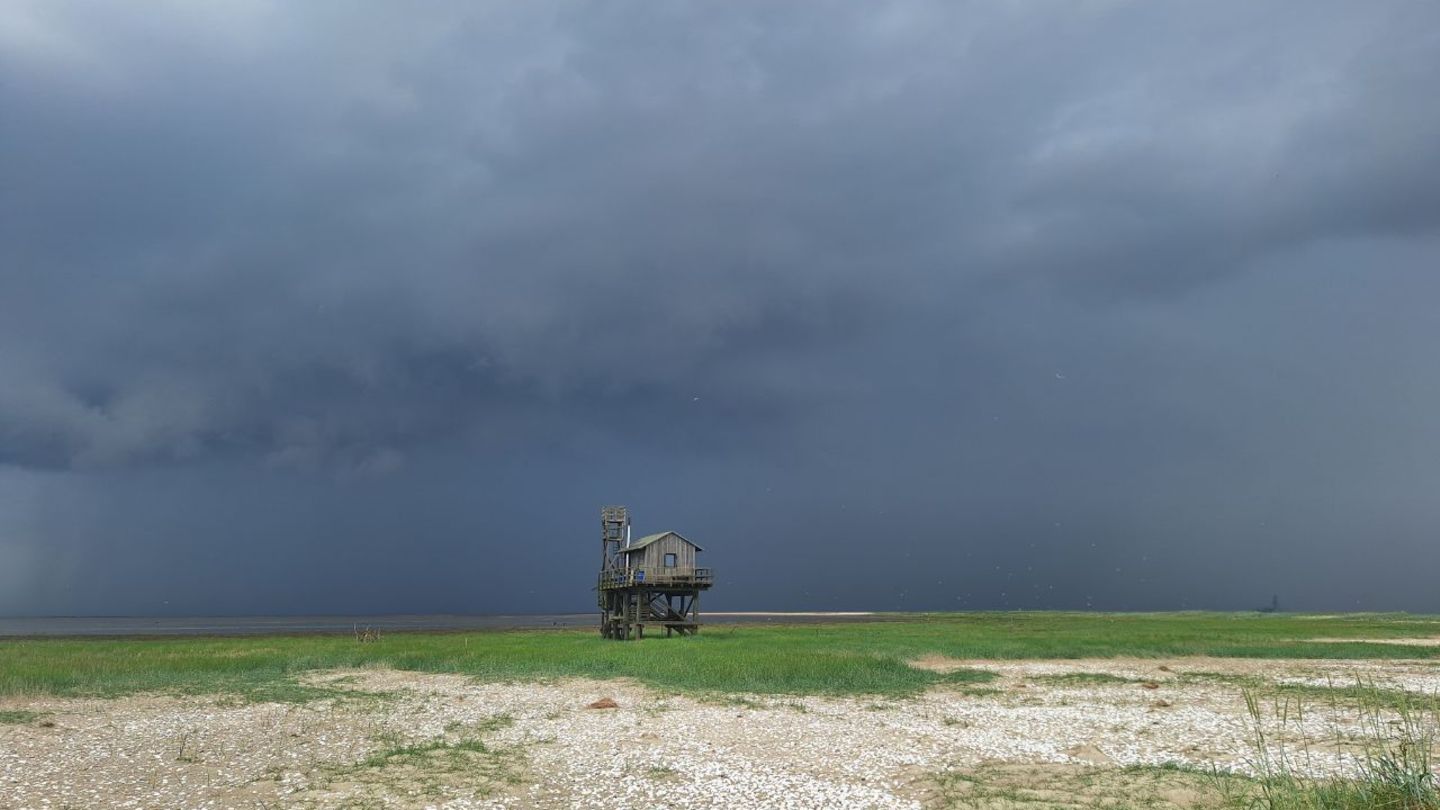 Jakob Wildrauts Hütte auf der Nordseeinsel Trischen steht sturmflutsicher auf Stelzen. Hier lebt der Vogelwart für sieben Monate