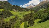 grüne Hänge mit Wäldern, im Hintergrund Gipfel mit Schnee