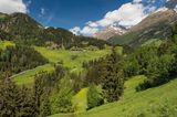 grüne Hänge mit Wäldern, im Hintergrund Gipfel mit Schnee