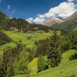 grüne Hänge mit Wäldern, im Hintergrund Gipfel mit Schnee