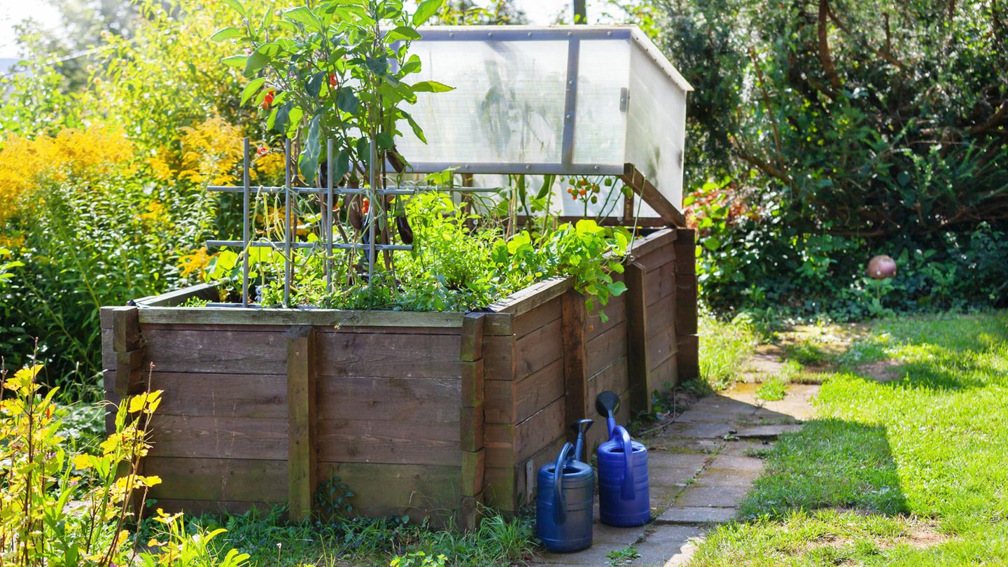 Ein Hochbeet eignet sich ideal für den Gemüseanbau. Doch die Pflanzen brauchen mehr Wasser als im herkömmlichen Gemüsebeet. Eine Hochbeet-Bewässerung schafft Abhilfe