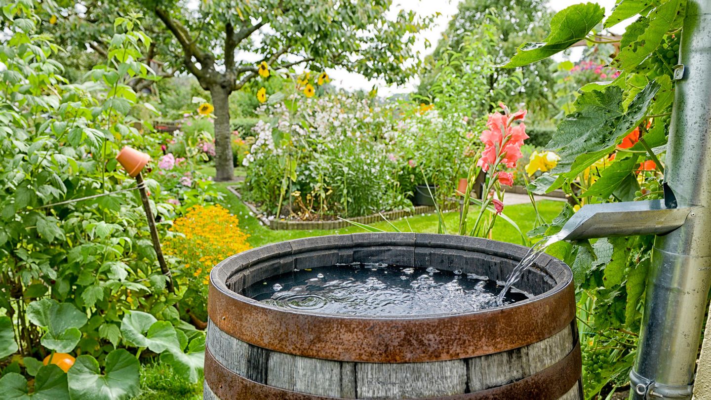Regenwasser sammeln