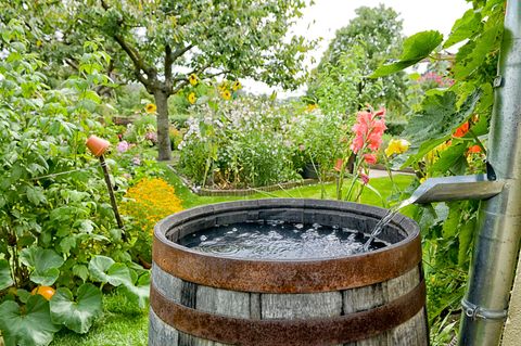 Regenwasser sammeln