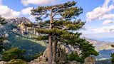 Aiguilles de Bavella auf Korsika