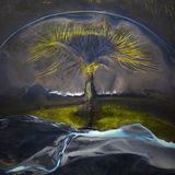 Furchen, Flüsse und Vegetation fügen sich zu einem baumähnlichen Gebilde. Der Blick aus der Luft macht die Kunstfertigkeit und Kreativität der isländischen Natur sichtbar. 