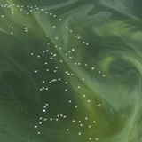 Ein Schwarm Flamingos tanzt über einer grünen Wasseroberfläche. Die Schönheit und Eleganz der Tiere faszinierte sie und zauberte ihr ein Lächeln ins Gesicht, so die Fotografin Silke Hullmann. 