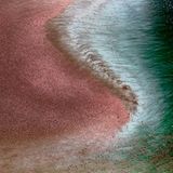 Auf den ersten Blick nicht zu erkennen, zeigt sich bei genauerem Hinsehen eine schier unendliche Zahl an Flamingos. Am Logipi-See in Kenia versammeln sich über mehrere Wochen hinweg Hunderttausende der Tiere.