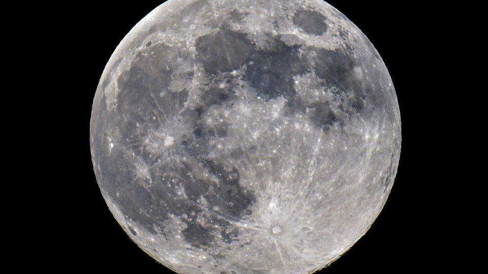 Der Vollmond ist am Nachthimmel zu sehen. Der Vollmond ist am Nachthimmel zu sehen.