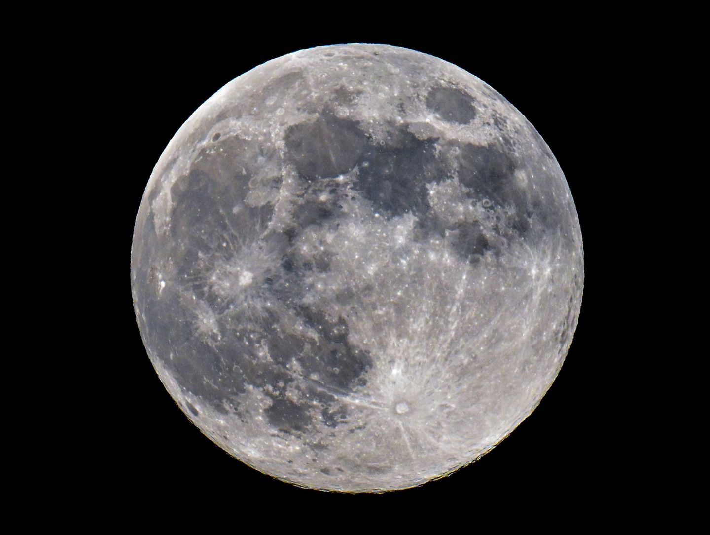 Der Vollmond ist am Nachthimmel zu sehen.